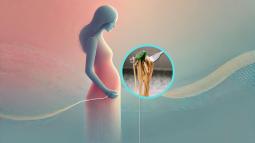Lo que comes en el tercer trimestre podría afectar la salud emocional de tu bebé, revela estudio
