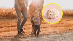 Un descubrimiento revela que criar hijos podría fortalecer las conexiones neuronales y revertir el envejecimiento cerebral