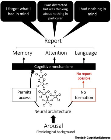 Figura 1. Una explicación fisiocognitiva de la fenomenología de la mente en blanco (MB).