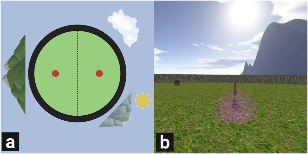 Fig. 6: Ilustraciones de tareas de VR.