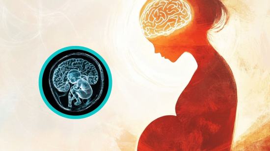 El 94% del cerebro de la mujer cambia durante el embarazo