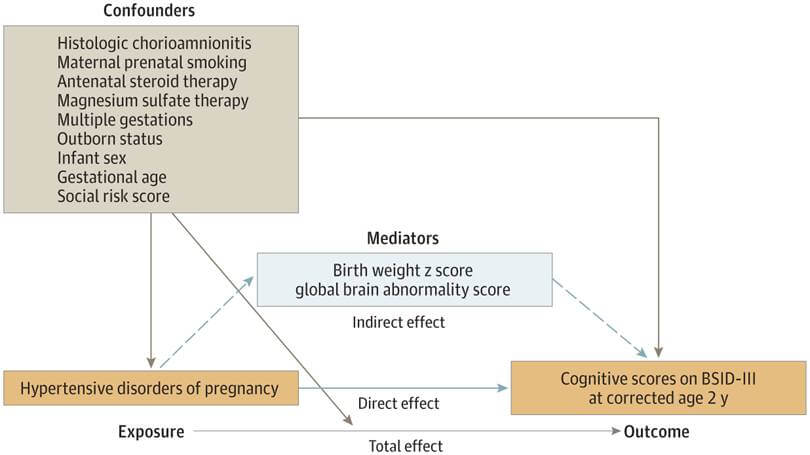 Figura 1. Gráfico acíclico dirigido que representa las posibles vías causales entre los trastornos hipertensivos maternos del embarazo, las anomalías cerebrales, los factores de confusión y los resultados del desarrollo neurológico en bebés prematuros.