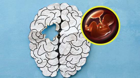 La placenta, clave inesperada en el origen de la esquizofrenia y otros trastornos mentales