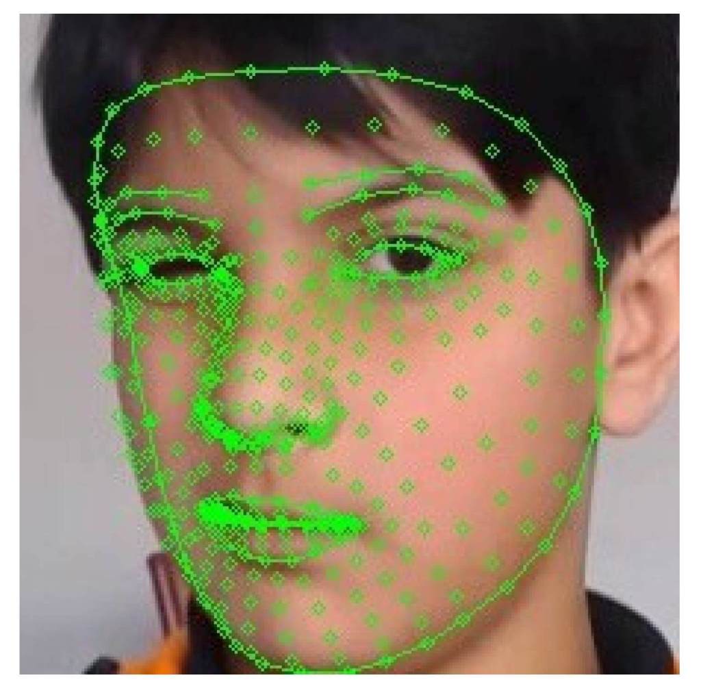 Figura 6. Malla facial/468 puntos de referencia sobre la emoción de disgusto.