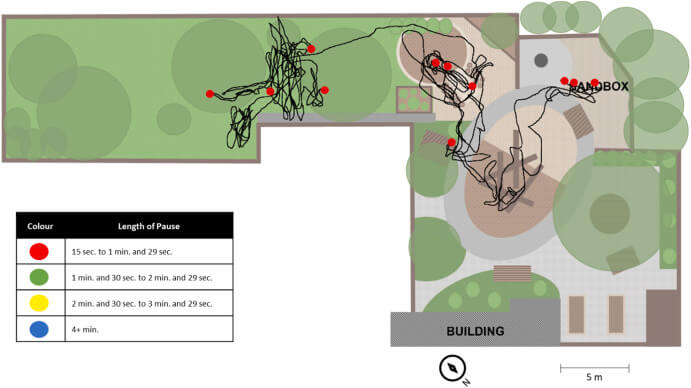 Figura 7. Este mapa de comportamiento espacial muestra los movimientos y pausas del niño objetivo (varón, preescolar) con el mayor porcentaje de AFMV en el entorno de juego al aire libre naturalizado (Tiempo 2). Se observa una menor saturación de líneas, así como un mayor número de pausas, la mayoría de las cuales superan los 30 s.