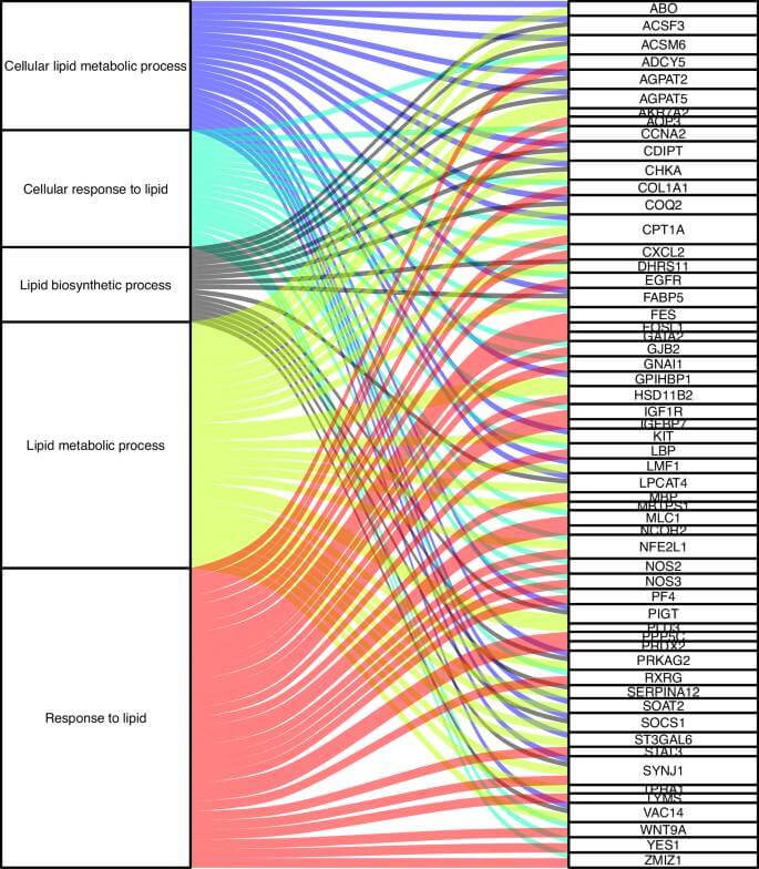 Fig. 5: Gráfico aluvial que muestra los cinco principales términos de ontología génica de rasgos relacionados con lípidos y el conjunto de genes para dmCpG asociados con la silueta corporal del padre entre la interrupción de la voz y los 30 años de edad (FBS-V30c).