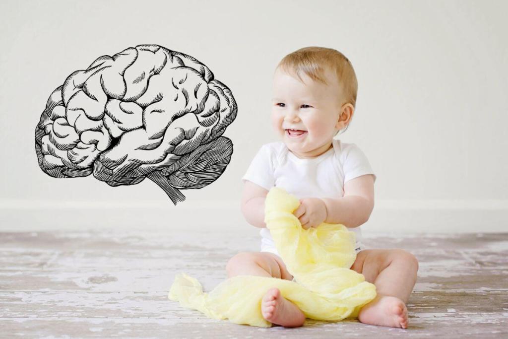 Científicos trazan el desarrollo funcional del cerebro infantil desde el nacimiento hasta los 6 años