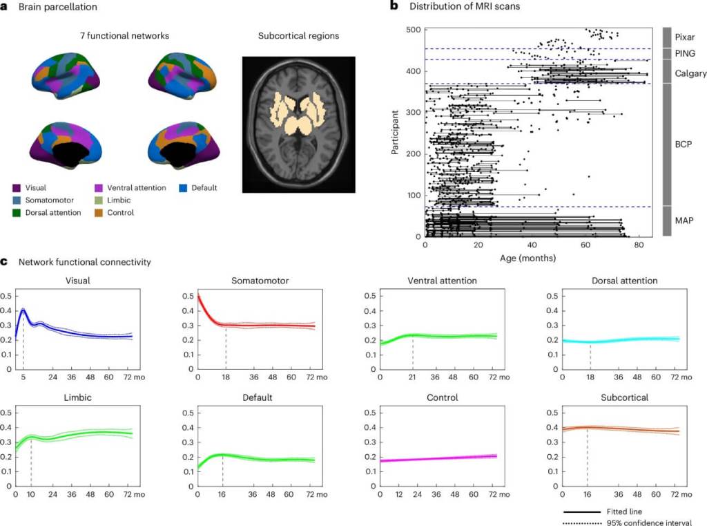 Gráfica que muestra el desarrollo funcional del cerebro infantil. Cada punto representa una resonancia realizada en un niño de una determinada edad, con datos recogidos en cinco cohortes internacionales. Las líneas sólidas reflejan cómo cambian las conexiones cerebrales entre redes funcionales durante los primeros seis años de vida, mientras que las líneas punteadas indican los márgenes de confianza. Las líneas verticales marcan los momentos clave en que estas conexiones comienzan a transformarse.
