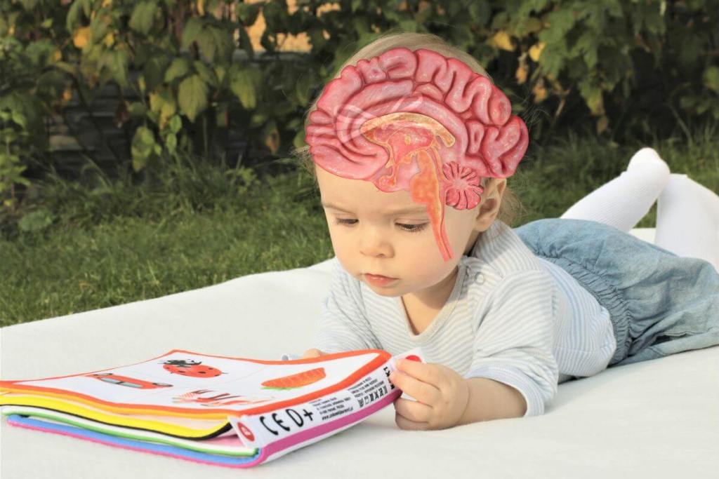 Científicos trazan el desarrollo funcional del cerebro infantil desde el nacimiento hasta los 6 años 3