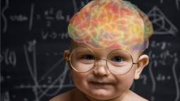 Científicos trazan el desarrollo funcional del cerebro infantil desde el nacimiento hasta los 6 años
