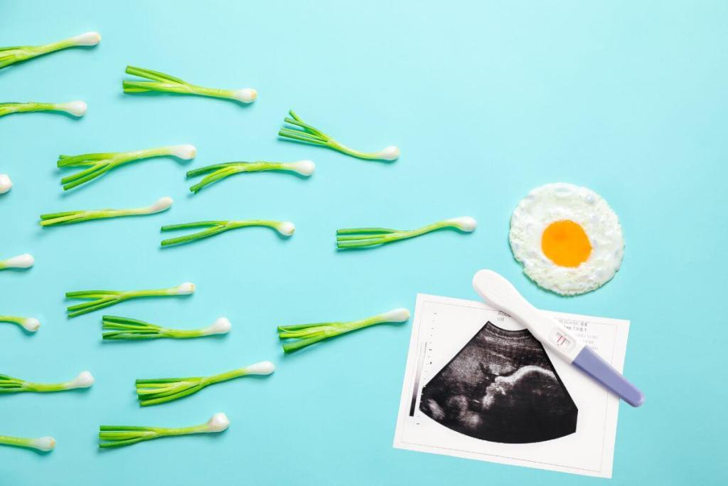 La experta en nutrición, Mara Cerqueiro, sobre la fertilidad una intervención nutricional temprana puede marcar la diferencia.3