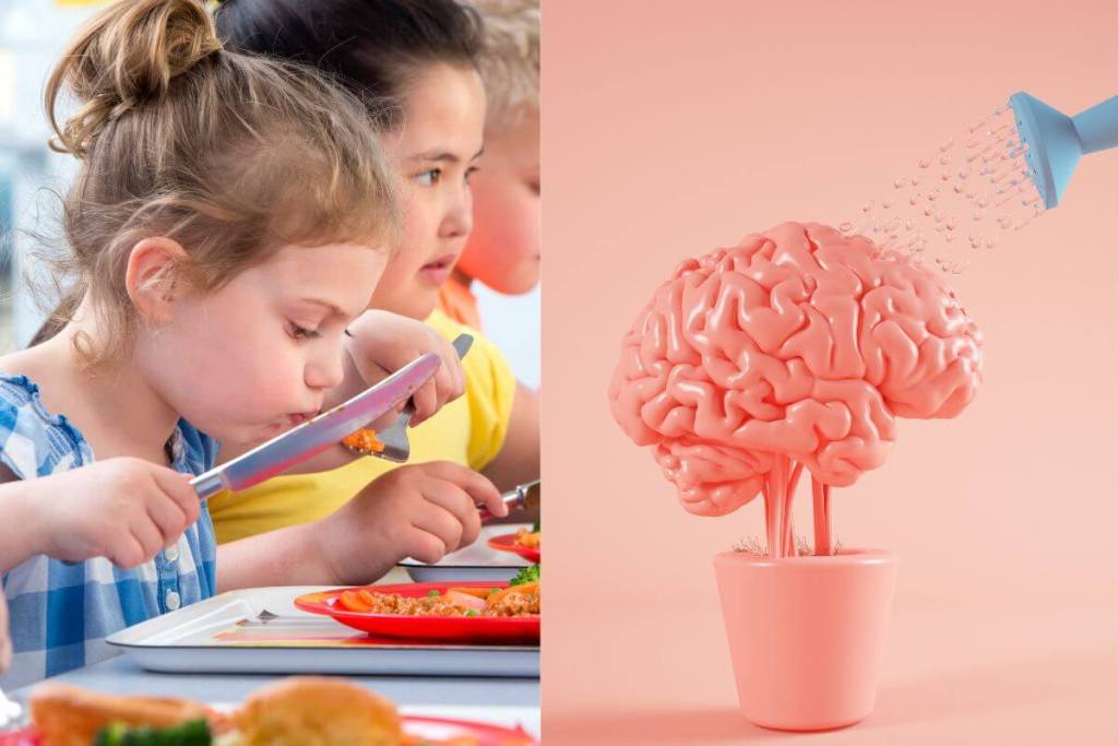 La obesidad en adolescentes no solo afecta al cuerpo, nuevos estudios revelan que también altera el desarrollo del cerebro