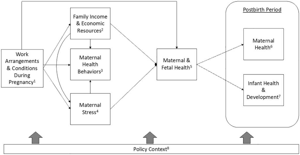 Fig. 1 Marco conceptual que vincula el trabajo durante el embarazo con la salud materna e infantil.