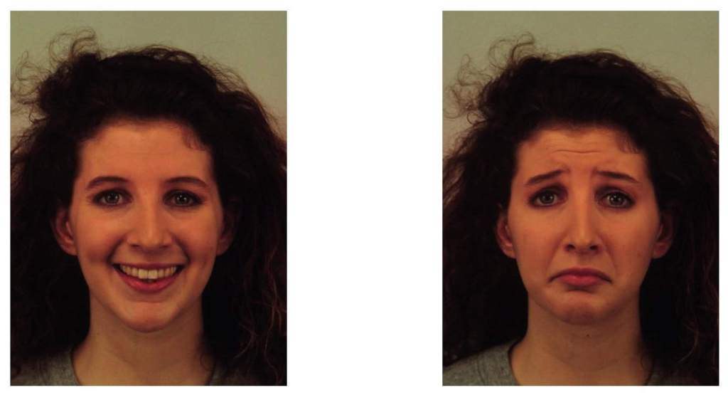 Fig. 4. Matriz visual de caras de muestra.