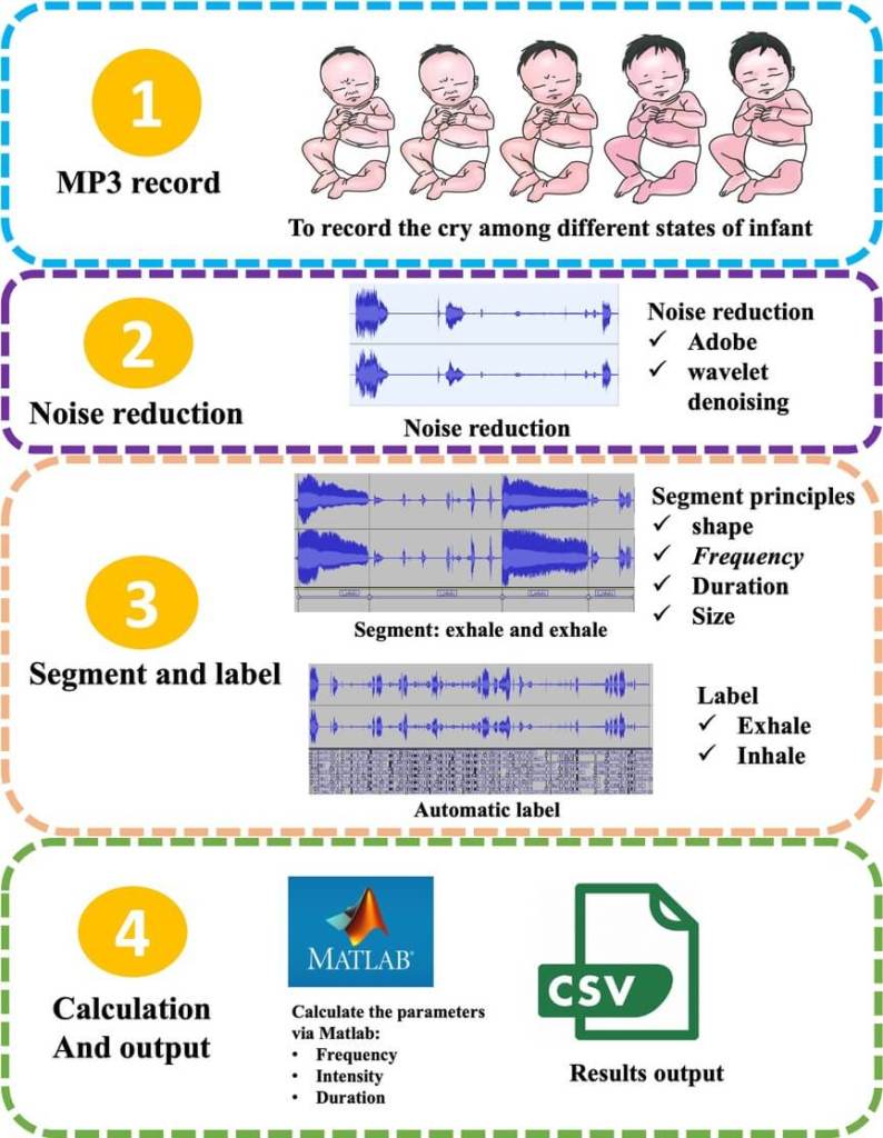Figura 2. Proceso de extracción del llanto infantil. (1) Recopilación de audio sin procesar del llanto infantil en diferentes estados fisiológicos; (2) procesamiento de reducción de ruido, como el empleo de tecnología de reducción de ruido de modo dual que combina la edición espectral de Adobe Audition® con la eliminación de ruido del umbral de ondículas para eliminar eficazmente el ruido ambiental; (3) Segmentación y anotación: obtención de una segmentación precisa de la fase espiratoria basada en la morfología de la forma de onda, las características de frecuencia y los umbrales de duración, y marcación automática de los ciclos inspiratorio/espiratorio mediante la detección de la envolvente de energía; (4) Cálculo y generación de parámetros: como el uso de MATLAB para extraer la frecuencia fundamental, la intensidad del sonido y las características del dominio temporal, generando finalmente un archivo de datos CSV estructurado con marcas de tiempo.