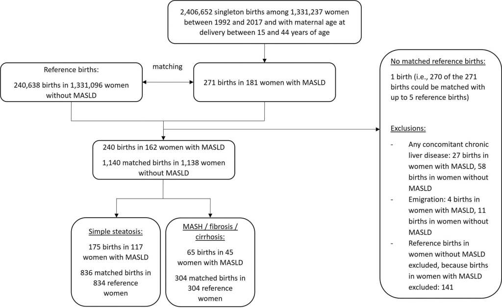 Fig. 1. Diagrama de flujo de la inclusión en la cohorte. Abreviaturas: MASLD, enfermedad hepática esteatótica asociada a disfunción metabólica; MASH, esteatohepatitis asociada a disfunción metabólica.