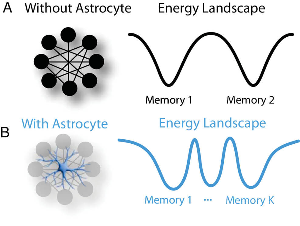 Figura 2. Para un número fijo de neuronas, la red neurona-astrocito es capaz de almacenar muchas más memorias que la red exclusivamente neuronal. ( A ) El panorama energético de una red asociativa exclusivamente neuronal. ( B ) El panorama energético de una red asociativa neurona-astrocito. Las memorias se concentran con mayor densidad en el espacio de estados, lo que permite una mayor capacidad de almacenamiento y recuperación de la memoria.