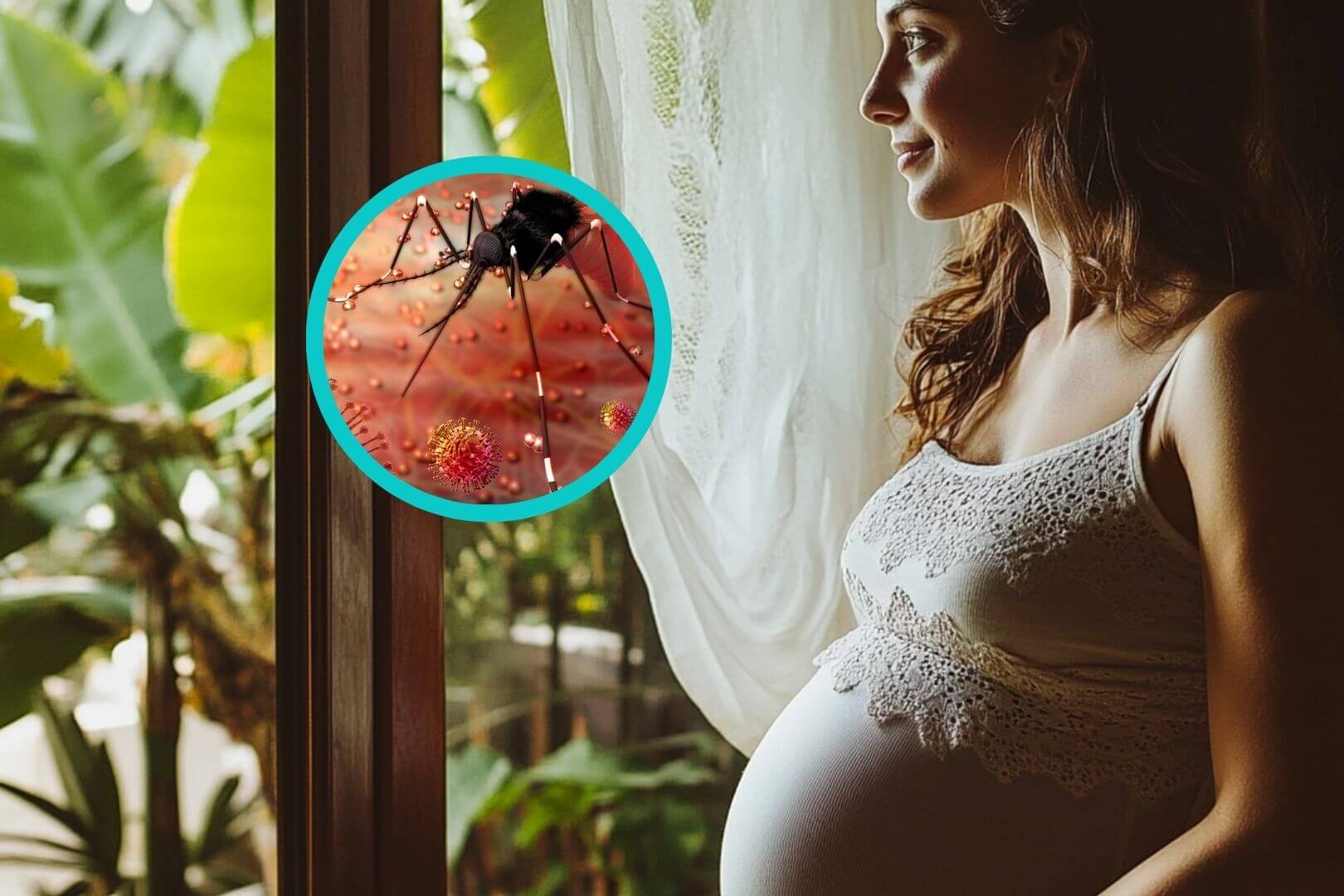 Una mujer embarazada en un entorno tropical: el virus del Zika, transmitido por mosquitos, puede afectar gravemente el desarrollo fetal. Un nuevo estudio internacional cifra con precisión este riesgo.