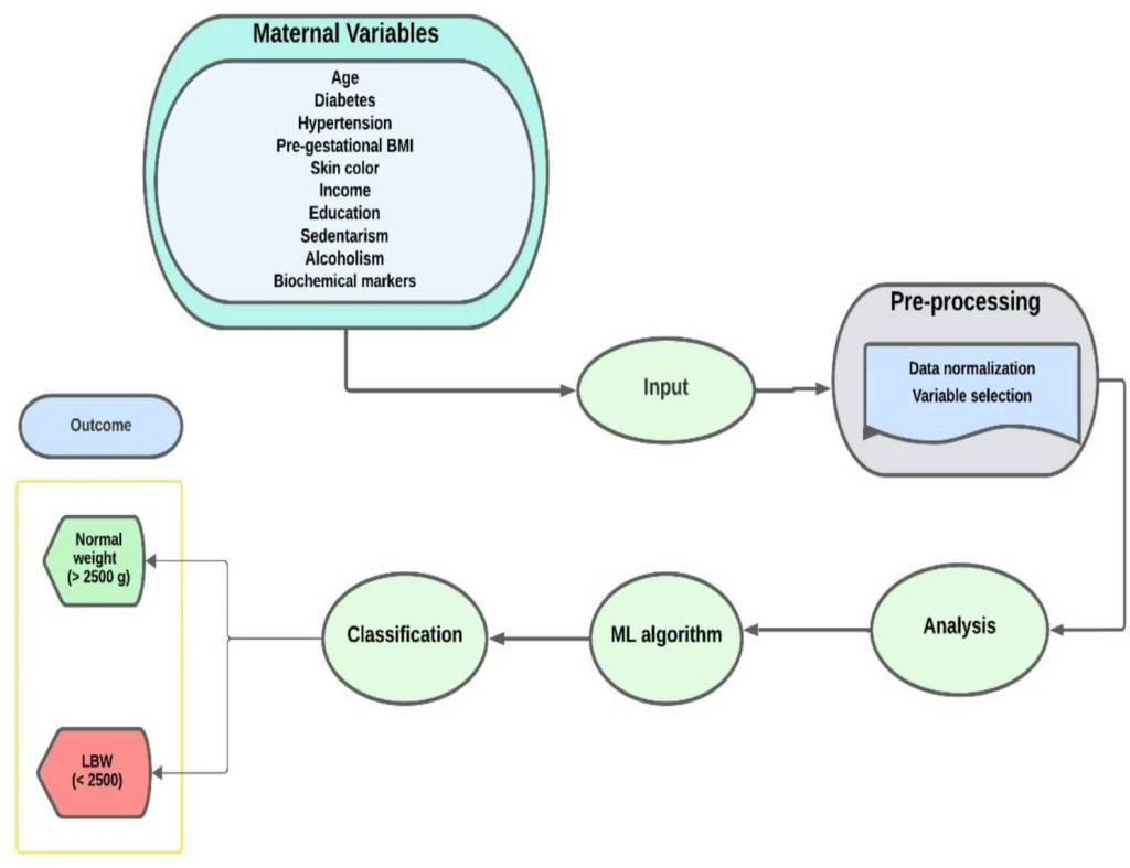 Figura 1. Un ejemplo del diagrama de flujo de trabajo para clasificar la adecuación del peso al nacer