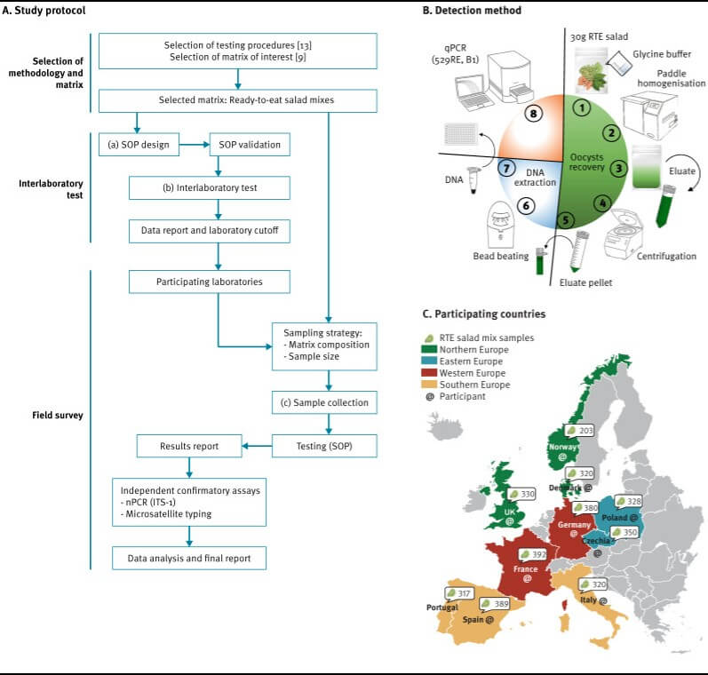 Resumen de un estudio para la detección de Toxoplasma gondii en mezclas de ensaladas listas para consumir, Europa, 2021-2022