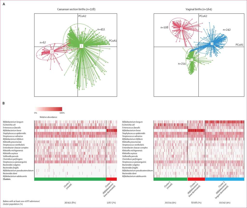 Figura 2 Caracterización de la composición del grupo de microbiota intestinal de la primera semana, estratificada por modo de nacimiento