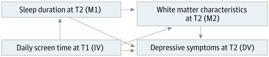 Figura 1. Marco de mediación serial Se muestran las relaciones propuestas entre el tiempo de pantalla en T1 (infancia tardía), la duración del sueño en T2 (adolescencia temprana), las características de la sustancia blanca en T2 y los síntomas depresivos en T2. ​​Las flechas indican la dirección de la relación propuesta. VD: variable dependiente; M1: mediador 1; M2: mediador 2; IV: variable independiente. 